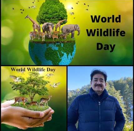 World Wildlife Day Observed at AAFT 275110461_3159408444302044_4034986541943869630_n